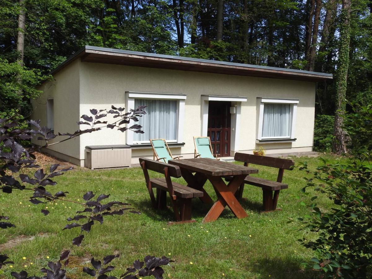 Apartment Haus Waldfrieden Bad Saarow